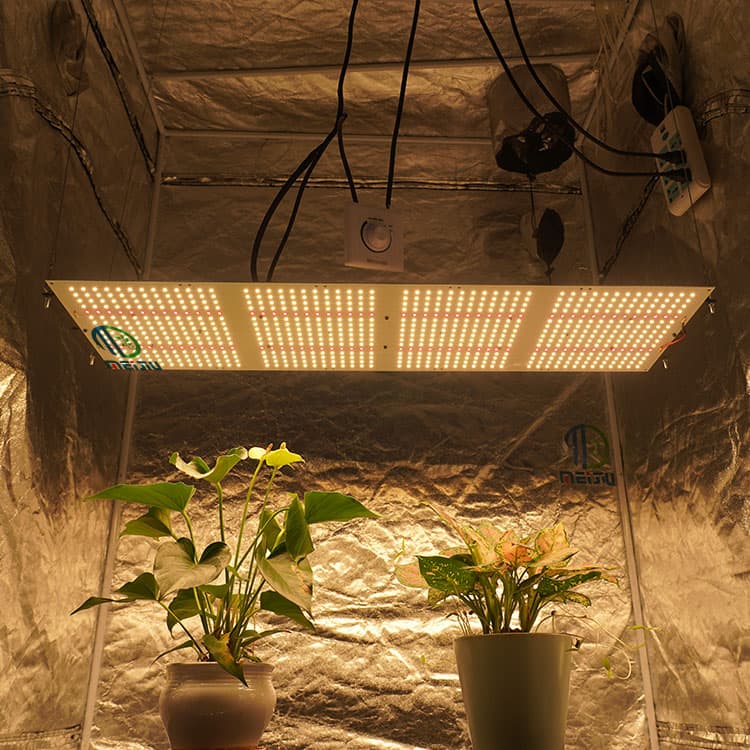 Meijiu FOTOPS-V2-320H-1 320W LED 식물등 생장등