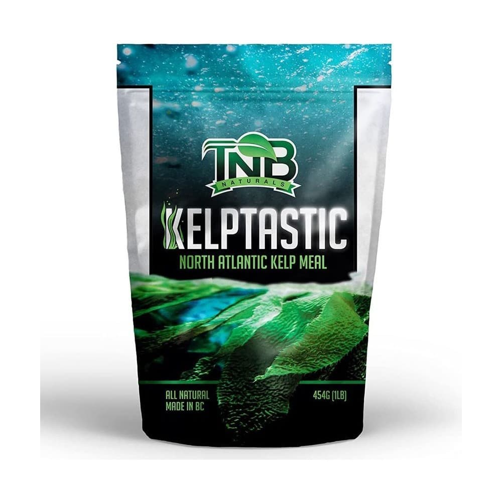 KELPSTATIC 해초 유기농 액비 식물영양제 454g