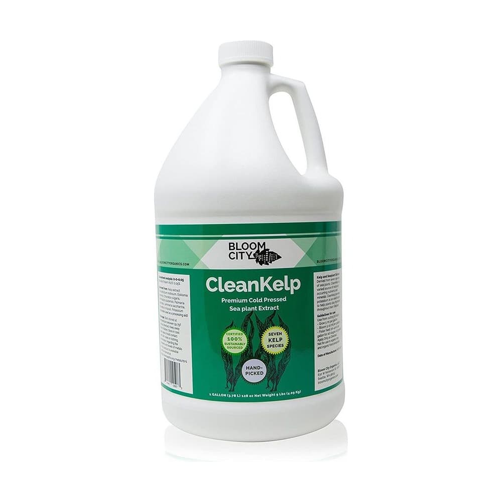 Bloom City Seaweed and Kelp Fertilizer Supplement